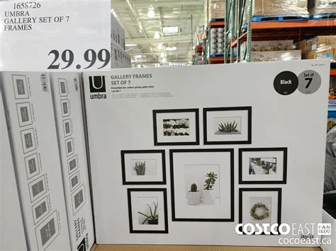 wholesale temple frame costco.